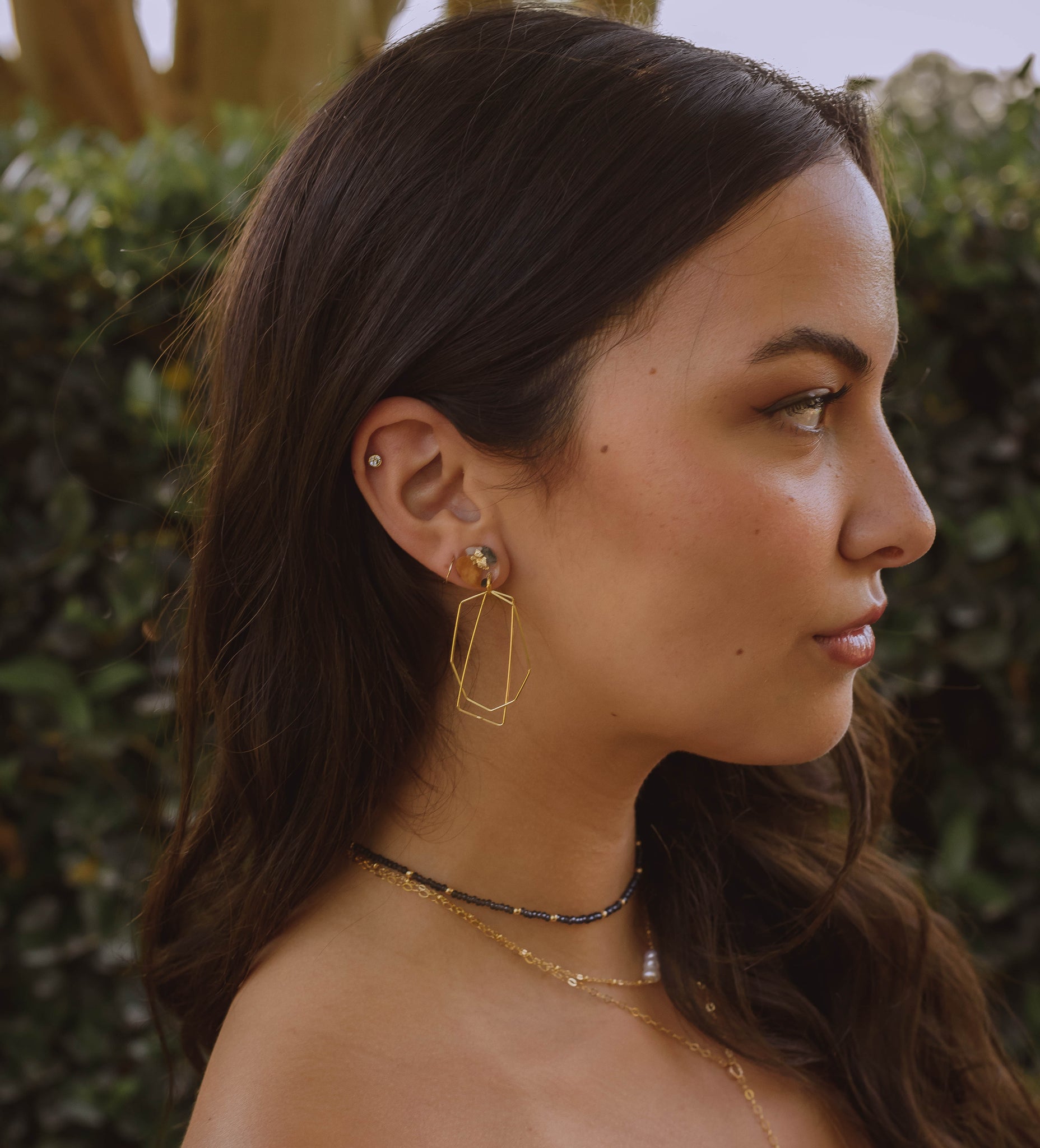Shapes earrings