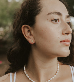 Florida Coast Clamshell Earrings